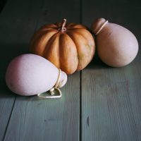 img_8844