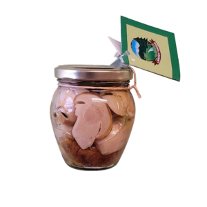 Porcini Tagliati Testa Bianca