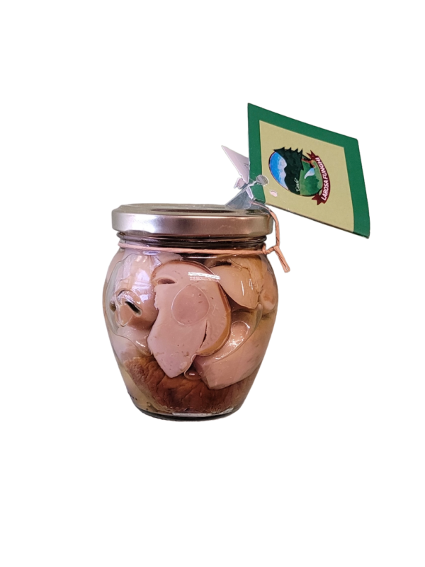 Porcini Tagliati Testa Bianca